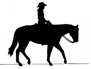 cowboy-riding
