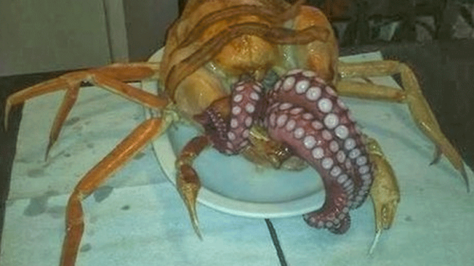 cthurkey