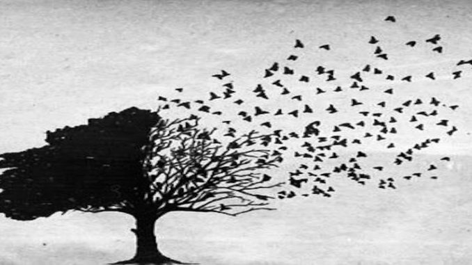letting-go